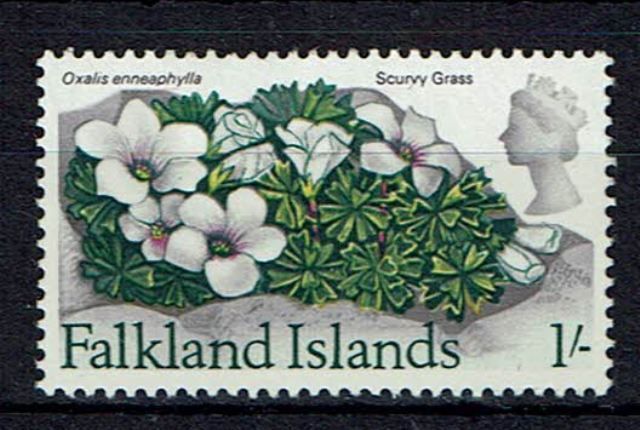 Image of Falkland Islands SG 240w UMM British Commonwealth Stamp